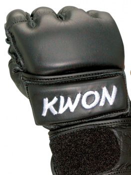 Kwon Ultimate MMA
